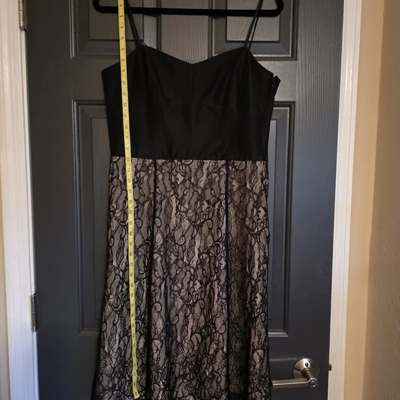 Ann Taylor Black Bodice with Nude Lace Overlay Fit-and-Flare Dress - Picture 3 of 6